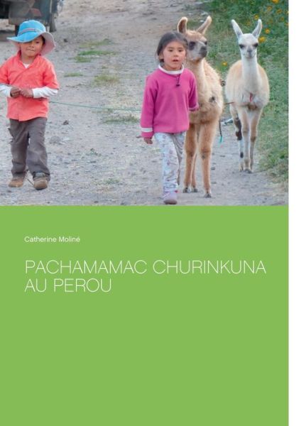 Cover for Moliné · Pachamamac Churinkuna au Perou (Book) (2017)