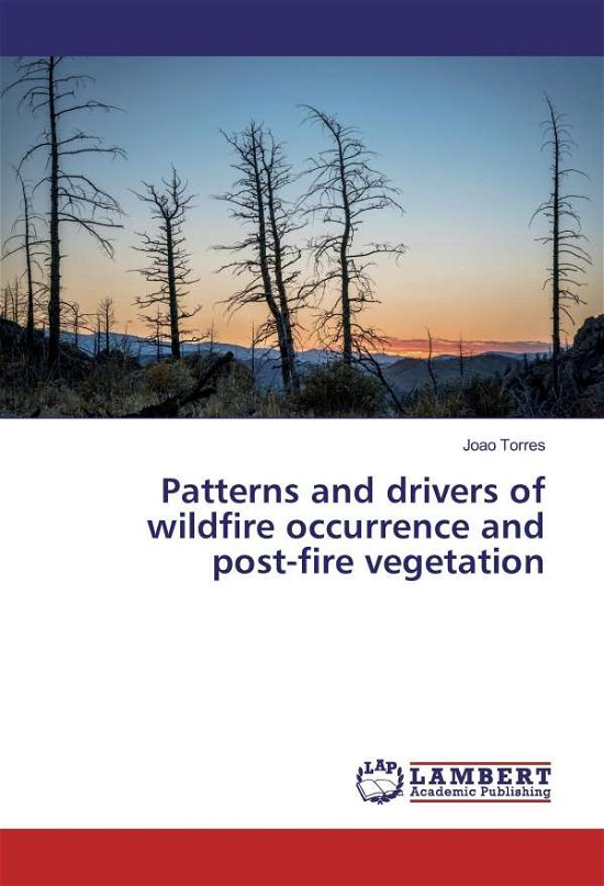 Patterns and drivers of wildfire - Torres - Boeken -  - 9783330064812 - 