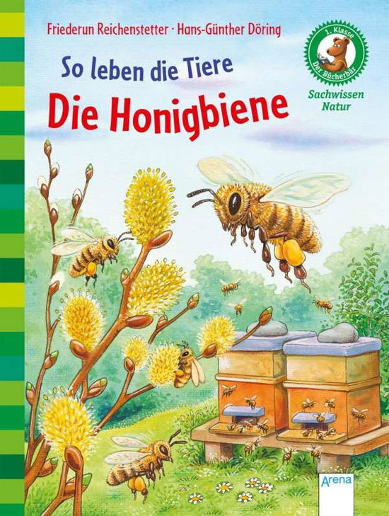 Cover for Reichenstetter · So leben d.Tiere.Honigbi (Book)