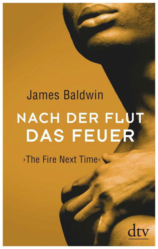 Cover for Baldwin · Nach der Flut das Feuer (Buch)