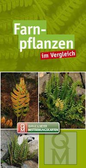 Farnpflanzen - Quelle & Meyer Verlag - Kirjat - Quelle + Meyer - 9783494018812 - torstai 14. lokakuuta 2021