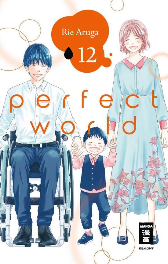 Perfect World 12 - Rie Aruga - Böcker - Egmont Manga - 9783770442812 - 5 november 2021