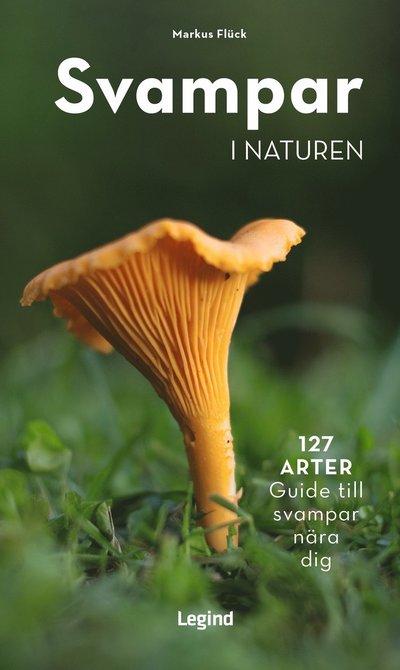 Cover for Markus Flück · Svampar i naturen : 127 arter - guide till svampar nära dig (Paperback Book) (2023)