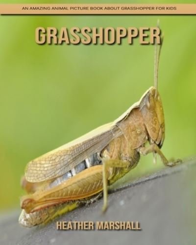 Cover for Heather Marshall · Grasshopper: An Amazing Animal Picture Book about Grasshopper for Kids (Paperback Book) (2021)