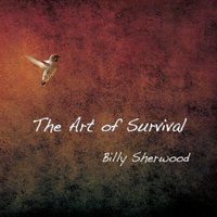 Art of Survival - Billy Sherwood - Música - Cd Baby - 0609456338813 - 15 de outubro de 2012