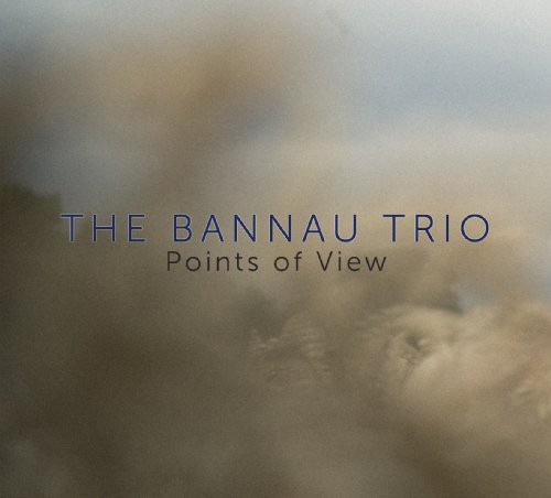 Points Of View - Bannau Trio - Musik - WHIRLWIND RECORDINGS - 0609613793813 - 4. november 2013