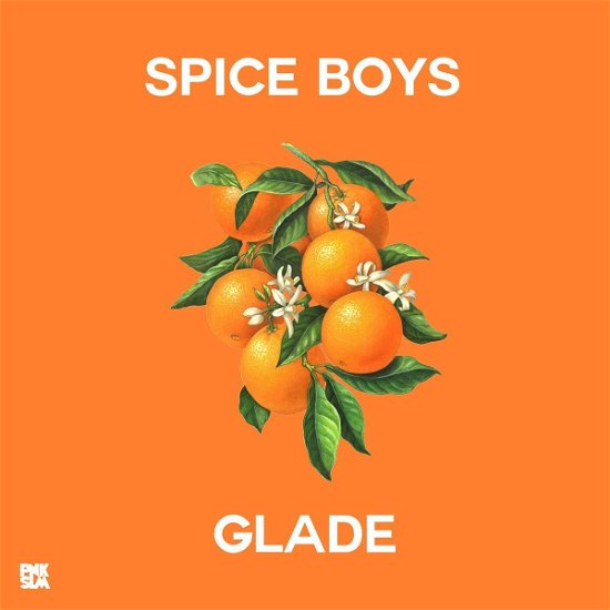 Cover for Spice Boys · Glade (LP) (2018)