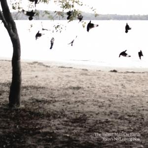 Cover for Tallest Man on Earth · There's No Leaving Now (LP) [Standard edition] (2012)