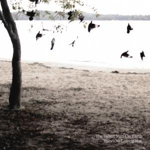 The Tallest Man on Earth · There's No Leaving Now (LP) [Standard edition] (2012)