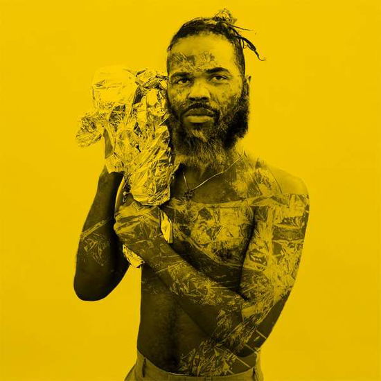 Cover for Rome Fortune · Jerome Raheem Fortune (LP) (2016)