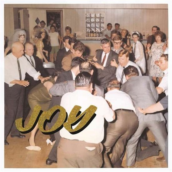 Cover for Idles · Joy As An Act Of Resistance. (LP) [Standard edition] (2018)
