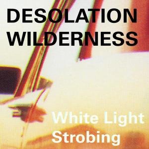 White Light Strobing - Desolation Wilderness - Music - K RECORDS - 0789856119813 - November 4, 2008
