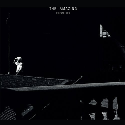 Cover for The Amazing · Picture You (CD) (2020)