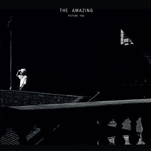 Cover for The Amazing · Picture You (CD) (2020)