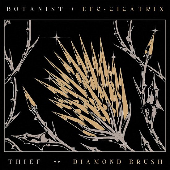 Botanist / Thief · Cicatrix / Diamond Brush (LP) (2021)