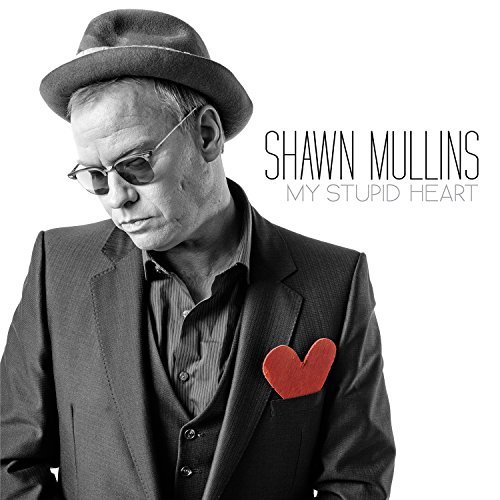 Cover for Shawn Mullins · My Stupid Heart (CD) [Digipak] (2015)