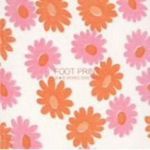 Cover for Hana Hana · Foot Print-works 2000-2003 (CD) (2006)
