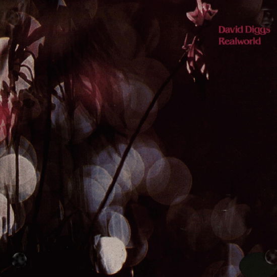 Cover for David Diggs · Realworld (CD) [Japan Import edition] (2024)