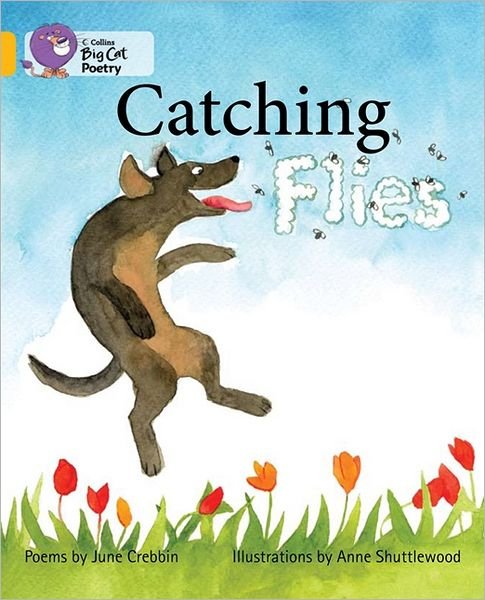 Cover for June Crebbin · Catching Flies: Band 09/Gold - Collins Big Cat (Paperback Book) (2012)