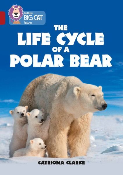 The Life Cycle of a Polar Bear: Band 14/Ruby - Collins Big Cat - Catriona Clarke - Books - HarperCollins Publishers - 9780008208813 - May 22, 2017