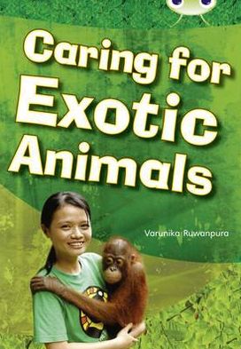Cover for Varunika Ruwanpura · Bug Club Independent Non Fiction Year Two White A Caring for Exotic Animals - BUG CLUB (Paperback Book) (2010)