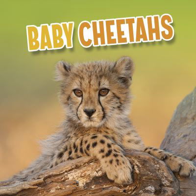 Cover for Martha E. H. Rustad · Baby Cheetahs - Baby Animals (Hardcover bog) (2022)