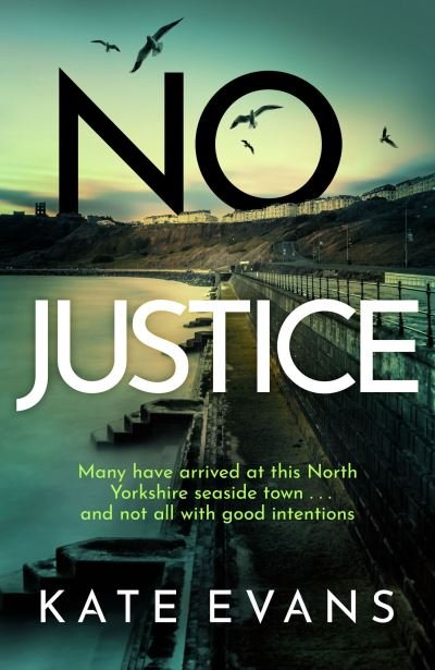 Cover for Kate Evans · No Justice - DC Donna Morris (Taschenbuch) (2024)