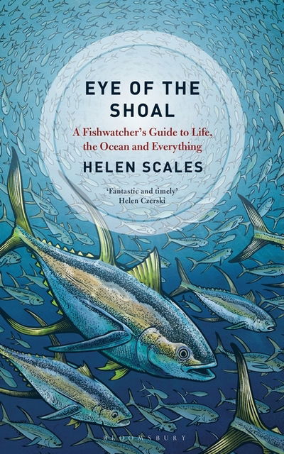 Cover for Helen Scales · Eye of the Shoal: A Fish-watcher's Guide to Life, the Ocean and Everything (Paperback Book) [Export / Airside edition] (2018)