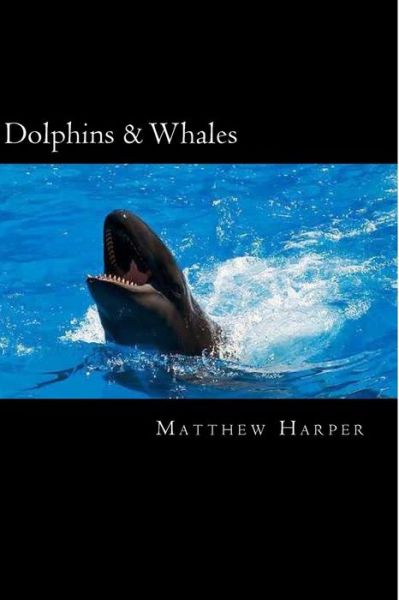 Cover for Matthew Harper · Dolphins &amp; Whales: a Fascinating Book Containing Dolphin &amp; Whale Facts, Trivia, Images &amp; Memory Recall Quiz: Suitable for Adults &amp; Childr (Pocketbok) (2014)