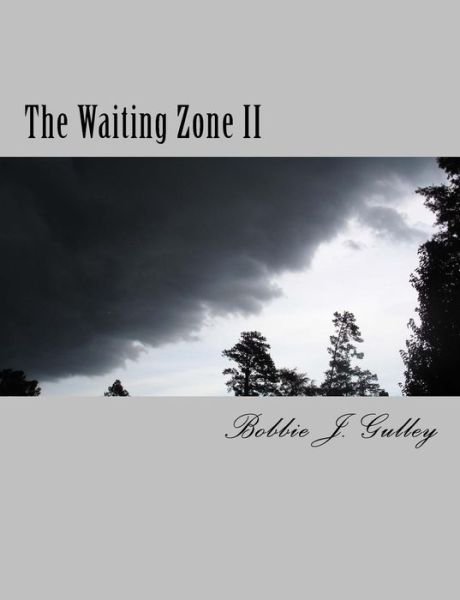 Cover for Bobbie J Gulley · The Waiting Zone II (Paperback Bog) (2015)