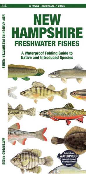 Cover for Waterford Press · New Hampshire Freshwater Fishes: A Folding Guide to Native and Introduced Species - Pocket Naturalist Guide (Pamphlet) (2024)