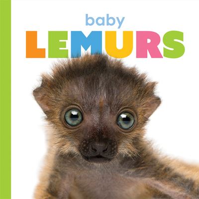 Cover for Kate Riggs · Baby Lemurs (Paperback Book) (2020)