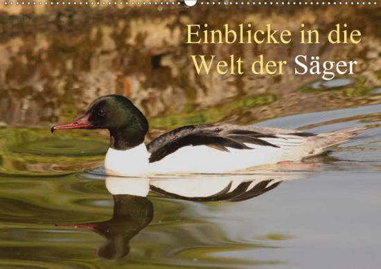 Cover for Erlwein · Einblicke in die Welt der Säger (Book)