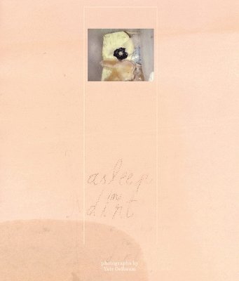 Cover for Yair Oelbaum: Asleep in dirt (Taschenbuch) (2024)