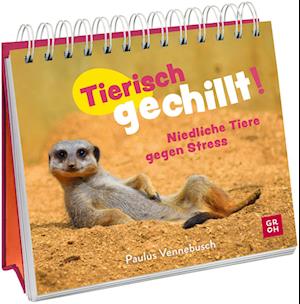 Cover for Paulus Vennebusch · Tierisch gechillt! (Book) (2024)