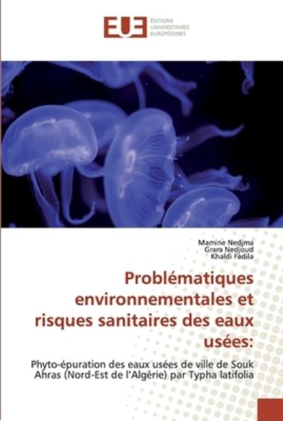 Cover for Nedjma · Problématiques environnementales (Book) (2020)