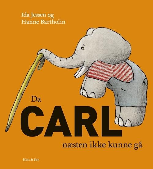 Cover for Ida Jessen; Hanne Bartholin · Carl-bøgerne: Da Carl næsten ikke kunne gå (Bound Book) [1e uitgave] [Indbundet] (2014)