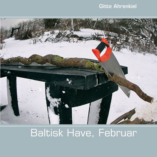 Cover for Gitte Ahrenkiel · Baltisk Have, Februar (Paperback Book) [1. wydanie] [Paperback] (2014)