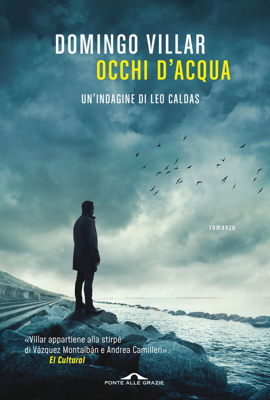 Cover for Domingo Villar · Occhi D'acqua. Un'indagine Di Leo Caldas (Book)