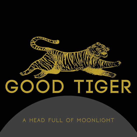 A Head Full Of Moonlight by Good Tiger - Good Tiger - Muzyka - Sony Music - 0039841545814 - 29 kwietnia 2016