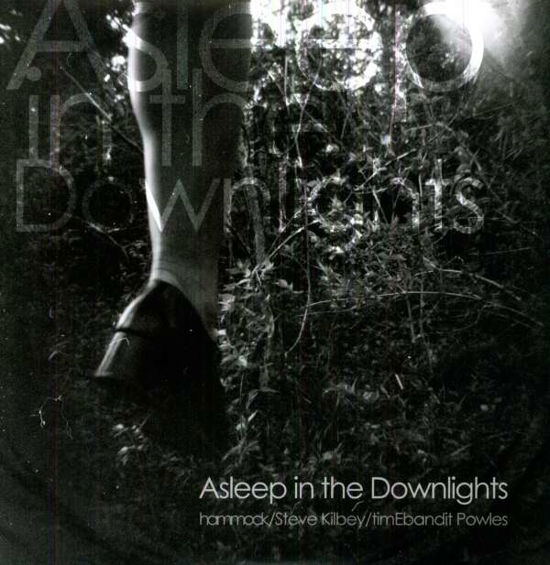 Cover for Hammock · Asleep in the Downlights (LP) (2011)