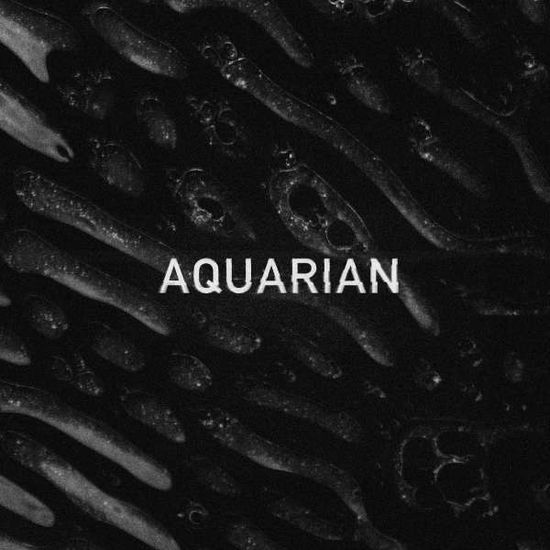 Cover for Aquarian · Aquarian EP - 12&quot; (LP) (2014)