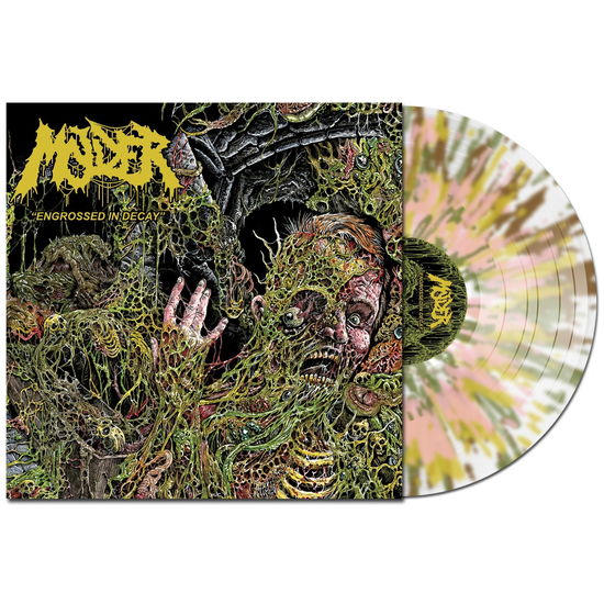 Cover for Molder · Engrossed In Decay (LP) (2022)