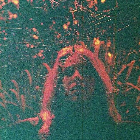 Cover for Turnover · Peripheral Vision (LP) [Repress edition] (2015)