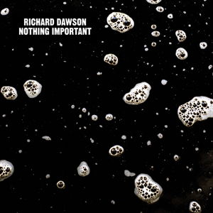 Cover for Richard Dawson · Nothing Important (LP) [Standard edition] (2014)