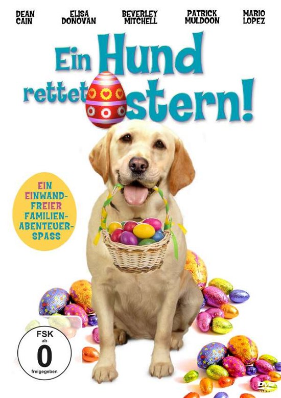 Cover for Caindean / donovanelisa · Ein Hund Rettet Ostern (DVD) (2016)