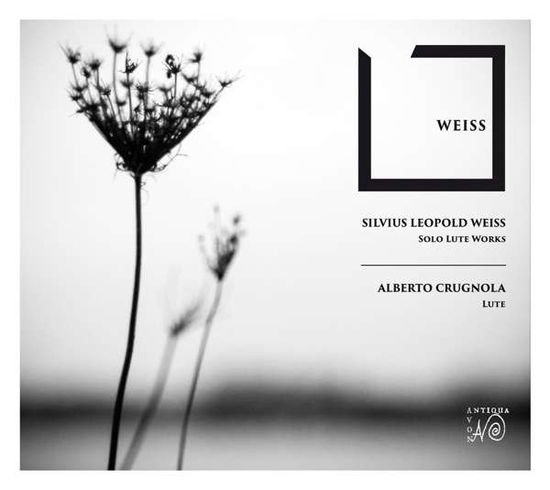 Cover for Alberto Crugnola · Weiss: Solo Lute Works (CD) (2019)