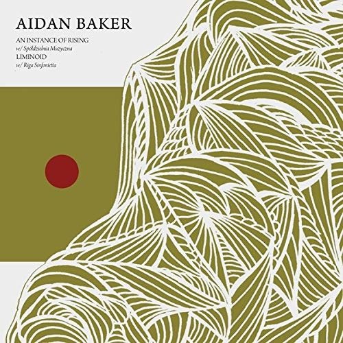 Instance of Rising / Liminoid - Aidan Baker - Music - GIZEH - 4250101415814 - June 5, 2020