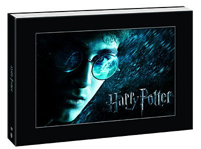 Watson Emma - Grint Rupert - Harry Potter Limitierte Auflage 12 Dvd-box-set - Radcliffe Daniel - Film - WARNER HOME VIDEO - 5051889010814 - 