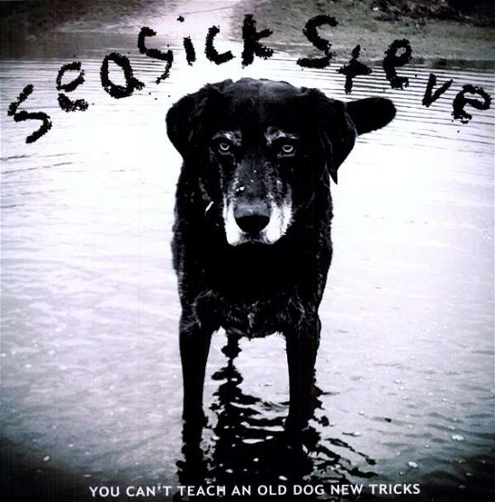 Cover for Seasick Steve · You Can't Teach an Old Dog New Tricks (LP) (2017)